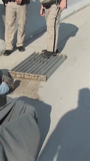 Wow! 😲 Reptile experts rescued a monitor lizard by wrangling it from a storm drain along an interstate. #lizard #monitorlizard #rescue #phoenix #arizona | KMOV