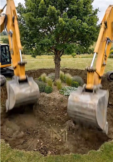 Building a Beautiful Koi Pond Around a Tree
