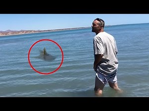 15 Scariest Shark Encounters of The Year