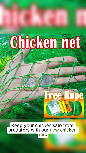 100M Green Chicken Net Fence for Versatile Applications