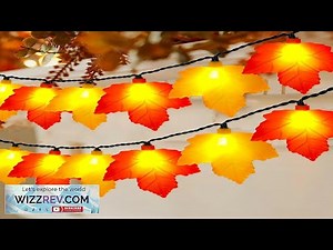 Maple Leaf Fall Lights 8.5Ft LED String Lights with 10 3D