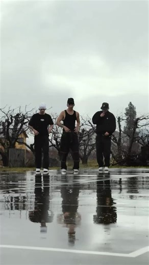 Understanding Rain and Its Impact on Nature