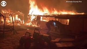 2.4K views · 91 reactions | WESTERN WILDFIRES: Firefighters battling Northern California’s Glass Fire captured video driving through Sonoma and Napa counties earlier this week. The crews are continuing to work through thick smoke and ash to save and protect structures, wineries and livestock. | CBS Evening News | Facebook