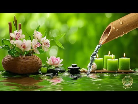 Relaxing Sleep Music and Soothing Nature Sounds 🌿 Meditation Music Relax Mind Body, Stress Relief