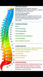 260K views · 776 reactions | Spinal Health & Homeopathy Every...