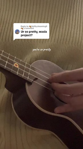 Lovely Ukulele Cover Song: Pure Imagination Fingerstyle