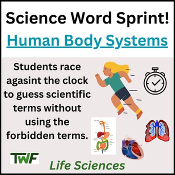 Human Body Systems - Circulatory, Respiratory, Digestive System Review Activity