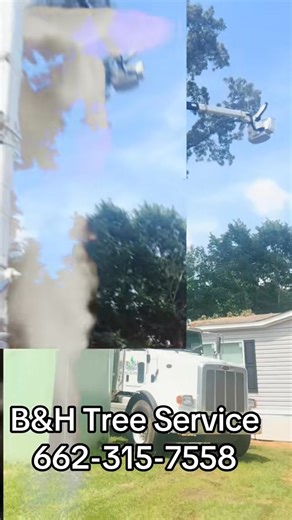 ‼️Contact us today to schedule your complimentary consultation‼️ Are you struggling to maintain your lawn? Are leaves and debris overwhelming? Are falling limbs a concern? Is severe weather a worry? If you are uncertain about the necessary tree maintenance, let us assist you in making an informed and professional decision for your property. Our comprehensive services include Hazardous Tree Removal, Tree Pruning, Tree Trimming, Stump Grinding, Debris Removal, Lot Clearing, and Storm Damage Cleanu