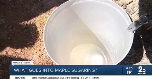 Maple sugaring at Oregon Ridge Nature Center