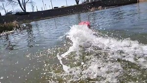 195 reactions · 33 comments | Now in stock and splashing water at a lake near you, the Pro Boat Models BlackJack 24" Brushless catamaran is the perfect boat for avid or beginner boaters! Learn more about the BlackJack here: https://bit.ly/3wHS4YJ | Tower Hobbies | Facebook