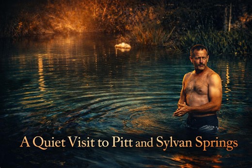 A quiet visit to Pitt and Sylvan Springs