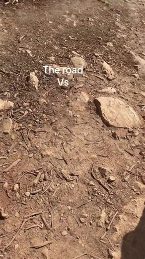 The most beautiful view ever seen 🌊. #zante #bestview #foruyou #viral #greece