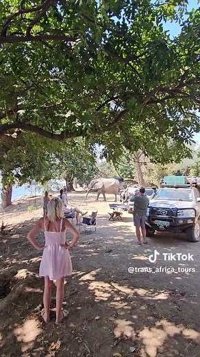 Exploring Mana Pools in Zimbabwe - A Stunning Travel Adventure