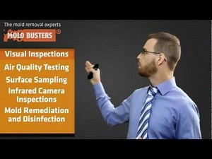 Professional Mold Services