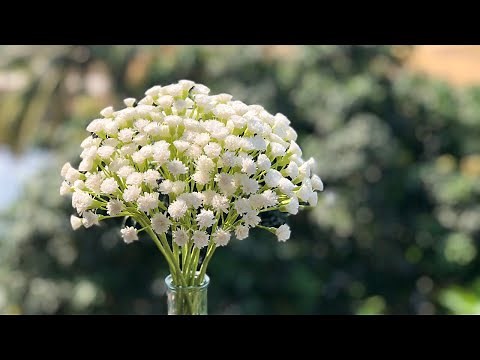 How To Make Baby Breath Paper Flower / Paper Flower / Góc nhỏ Handmade