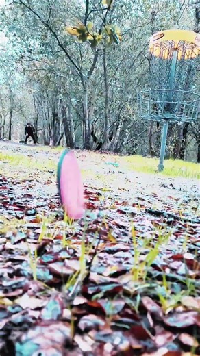 DdD Darren's daily Disc'n @DdDisc3D #dddisc3d #darrendddisc3d