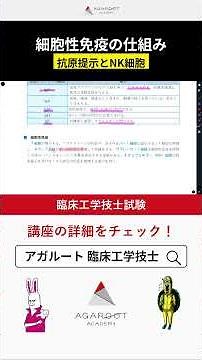 【臨床工学技士国家試験】細胞性免疫の仕組み #臨床工学技士国家試験