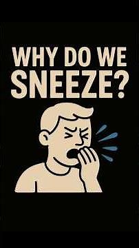 Why Do We Sneeze? 🤧 | The Science Behind the Achoo!