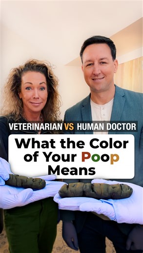 What the color of your poop means. | Dr. Karen Becker