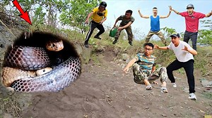 22K views · 186 reactions | Brave Expert Saves Young Man from Giant Python and 100 Dragon Snakes #indonaturevalues | Indo Nature Values | Facebook