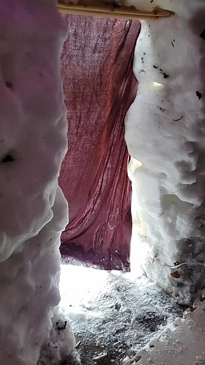 Shawn Harris (@shawnharris20)’s videos with original sound - Shawn Harris