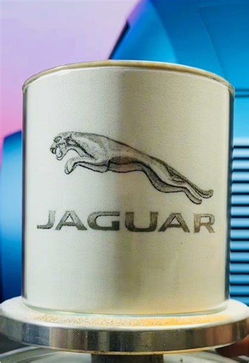 Challenge #2 of 100 Brands in Sand — Jaguar. A symbol of speed and elegance, sculpted grain by grain. @Jaguar #sandart #jaguar #fallinginsand #art #artist #satisfying