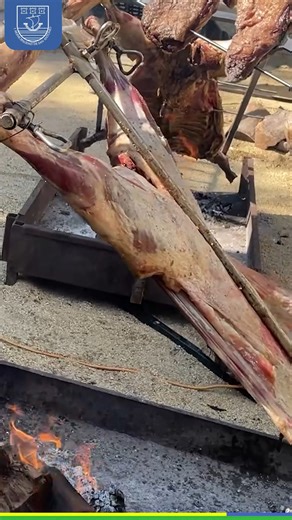 I. Municipalidad de San Antonio on Instagram: "Te invitamos a disfrutar de la Fiesta de la Merluza y Los Sabores de San Antonio, dos panoramas imperdibles que celebran la pesca artesanal y la gastronomía local 💙 Exquisita comida, artesanía, música y actividades para toda la familia se vivirán en la Caleta Puertecito y la Hacienda San Juan 🙌 🎣🍷✨ ¡No te lo pierdas"
