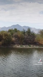 235K views · 3K reactions | 10 black crowned night herons that were raised at Liberty Wildlife since they were hatchings we're released this week! Enjoy! #libertywildlifeaz #libertywildlife #waterbirds #herons #rescue #release #rehabilitation #wildlife #tresrios | Liberty Wildlife | Facebook