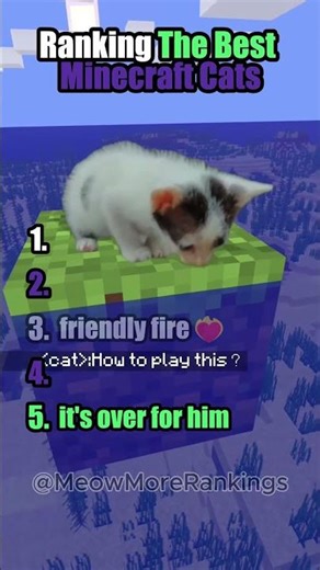 Ranking the Best Minecraft Cat Moments! #catvideos #funnycats #cat