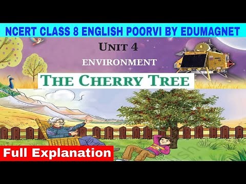 The Cherry Tree Class 8 English Poorvi Unit 4 chapter 1| Explanation | EDUMAGNET