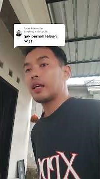 offer the best magpie food