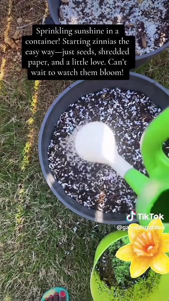 Using Shredded Paper for Budget-Friendly Seed Starting