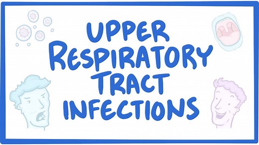 Upper respiratory tract infection: Video, Causes, & Meaning | Osmosis