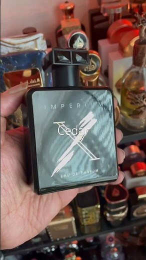 Imperium X by Fragrance World- Bold Leather and woods with tobacco for an exotic fall experience