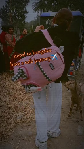 Traveling from Nepal to Bengaluru: Safe Journey Tips