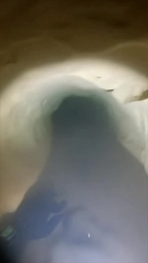 Claustrophobia sets in as silt fills the tunnel 🫧 | The Lowdown