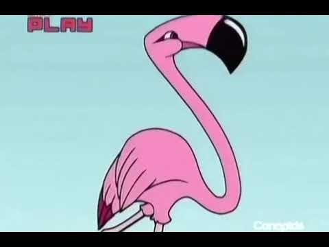 Captain flamingo intro (2006 - 2010)