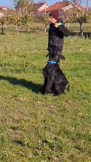 3.2K views · 25 reactions | Saša Ješić on Reels | Facebook