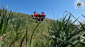 Natural Intelligence Robotic Monitoring of Habitats