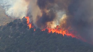 Huge Forest Fire Burning Trees On Mountain Stock Footage SBV-301035009 - Storyblocks