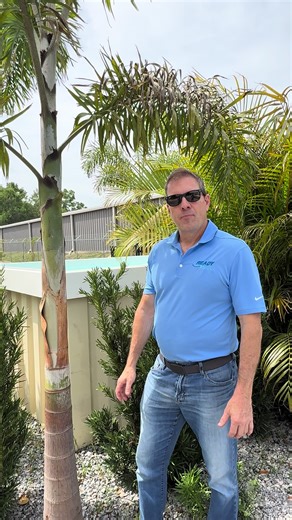 Innovative Pool Ideas for Your Backyard