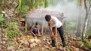 Subsistence farming in southeast asia, young farmers processing coconuts on plantation, woman and man