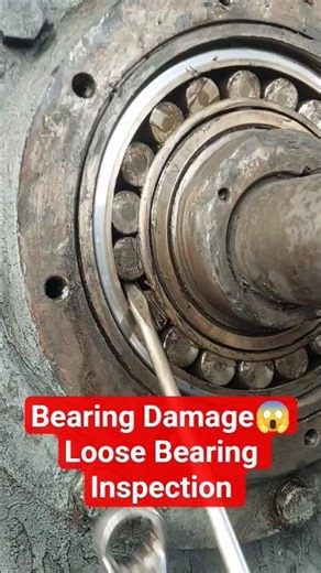 22224 E/C4 Bearing Damage 😱 | Loose Bearing Inspection | CHP Screen #ytshorts #powerplant #bearing