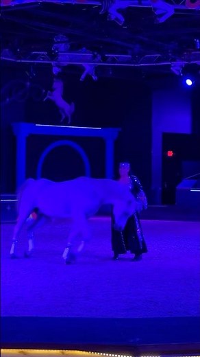 DANCING Horses | Liberty Performance at Dancing Horses Theatre in Lake Geneva