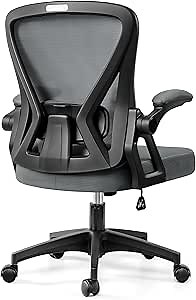 Office Chair, Ergonomic Home Computer Desk Chairs, Comfy Breathable Mesh Chair with Adjustable Lumbar Support Flip-up Armrests, Executive Task Chair with High Back for Home Office Rolling Swivel Chair
