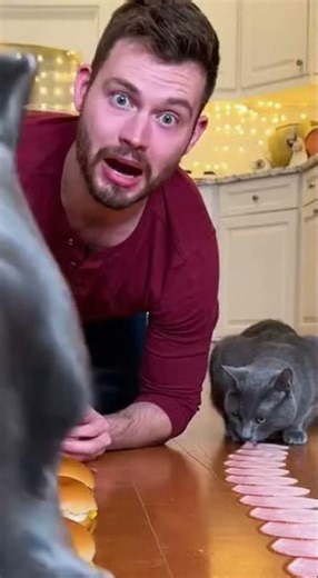 My dog went feral for these cheeseburgers #dog #funny #shorts