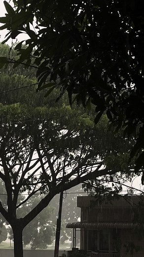 it will rain #rain #rainvibes #sadsong