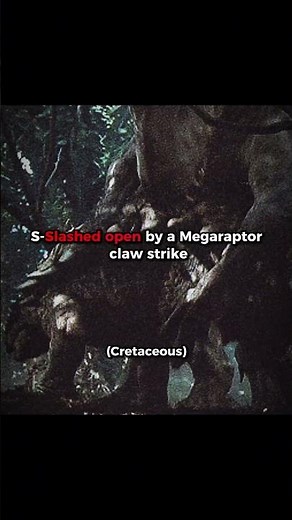 The first letter of your name = How you'd die in perhistoric eras💀|Part II