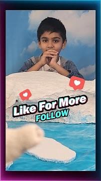 Arctic and Antarctic 🐻‍❄️ Tundra Region ❄️ Polar Diorama