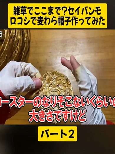 セイバンモロコシを使った麦わら帽子DIY